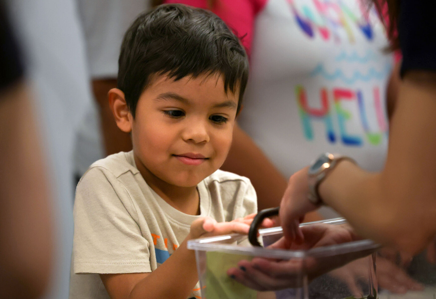 13th annual Arizona Insect Festival